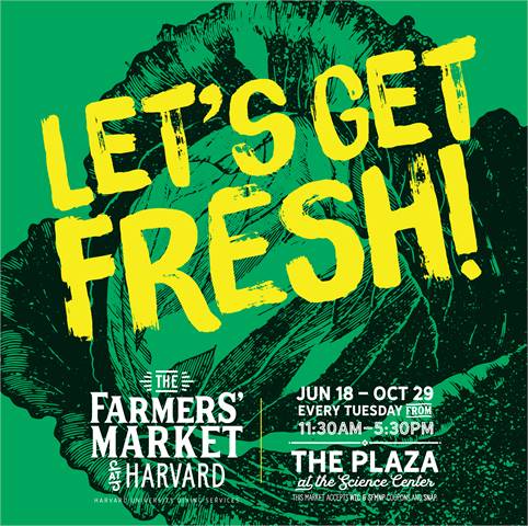 FARMERS' MARKET AT HARVARD