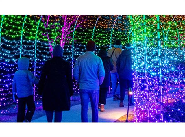 Night Lights: Color Cascade at New England Botanic Garden