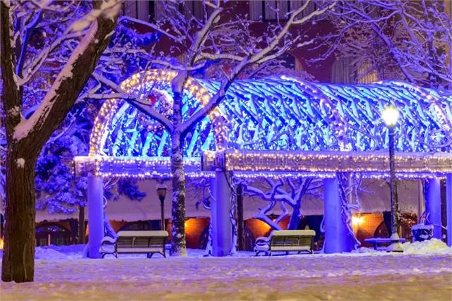 Holiday Trellis Lighting: Christopher Columbus Park