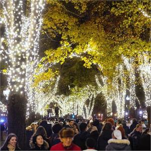 Boston Common Tree Light